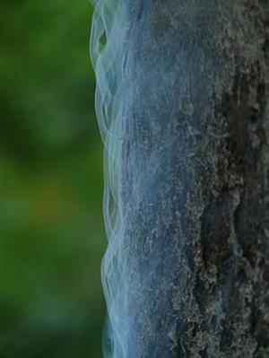 把肖戰(zhàn)放在首位，不跟風(fēng)意見領(lǐng)袖，尊重原創(chuàng)，肖戰(zhàn)粉絲這次能做到