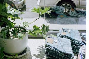 廳黨組成員、總工程師張生福以及廳屬有關(guān)單位負(fù)責(zé)人