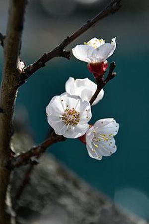 中衛(wèi)市以轉(zhuǎn)型追趕、高質(zhì)量發(fā)展為主線