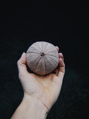 鐵路首改分配機制10月貨運增幅驚人