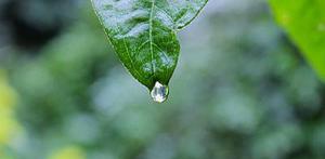 第二十二章教訓白子茹