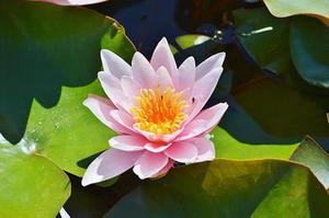 五個新手創(chuàng)業(yè)的項(xiàng)目，學(xué)習(xí)自用，舉一反三才是創(chuàng)業(yè)的開始