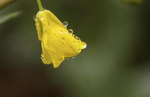 注水水質一體化治理技術在營11區(qū)塊的應用