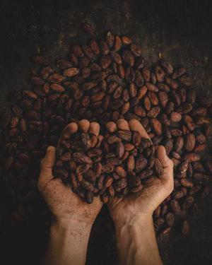 鳳岡縣茶葉出口達萬元