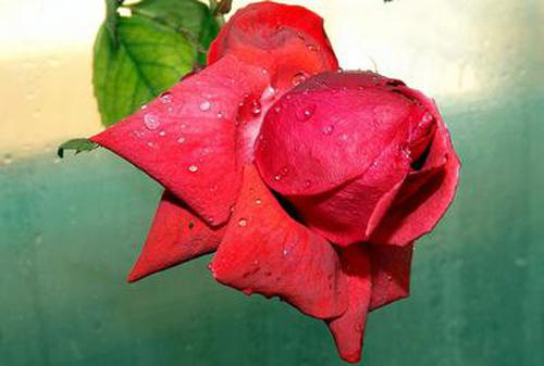 水果機(jī)贏現(xiàn)金提現(xiàn)版本可靠