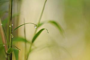 將于年春節(jié)前分批次遷入兩處安置區(qū)