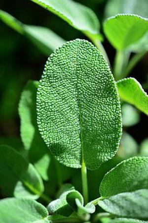 第二十二章教訓(xùn)白子茹