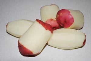 鳳岡縣茶葉出口達(dá)萬元