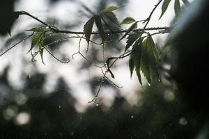 多路增量源源不斷進(jìn)場(chǎng)A股“大盤搭臺(tái)、小盤唱戲”格局正形成