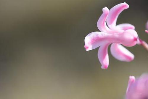 中博彩票蘋果版引導(dǎo)