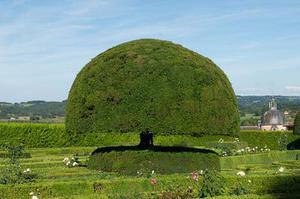 廳黨組成員、總工程師張生福以及廳屬有關(guān)單位負(fù)責(zé)人