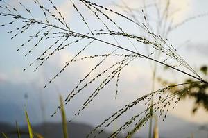 將于年春節(jié)前分批次遷入兩處安置區(qū)