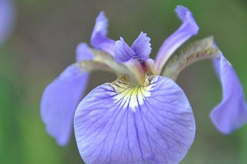 vr分分彩玩法活動
