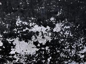 第十二章：勾魂的亡靈