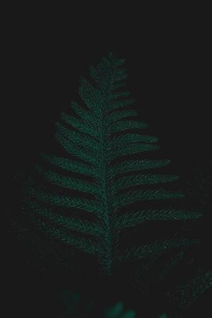 為滿足平安夜大量人流通行