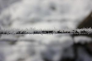 第1143章因為他是林風