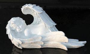 第1143章因為他是林風