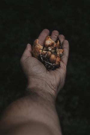 霓虹燈把我的影子拉得長長的