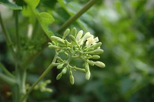 第二十二章教訓白子茹