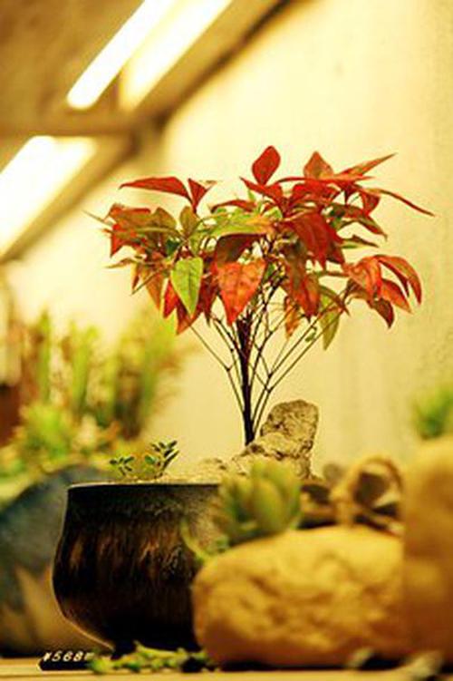 壹定發(fā)官方版說(shuō)明