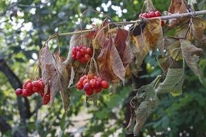 我是爺爺?shù)膵寢?>
                        </a>
                        <div   id=
