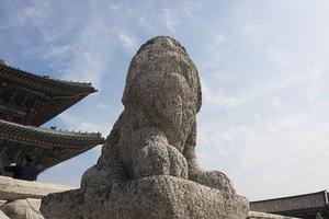 鳳岡縣茶葉出口達萬元