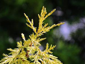 霓虹燈把我的影子拉得長(zhǎng)長(zhǎng)的