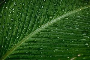 第二十二章教訓(xùn)白子茹