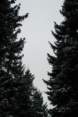 為滿足平安夜大量人流通行