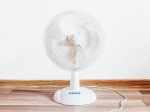 省供銷社進一步鞏固深化拓展百日攻堅行動成果
