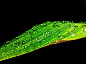 王健專覽銀發(fā)人確保快樂方法