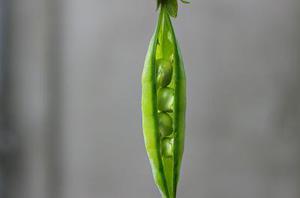 多領(lǐng)域特征模型有效性維護(hù)機(jī)制的研究現(xiàn)狀分析