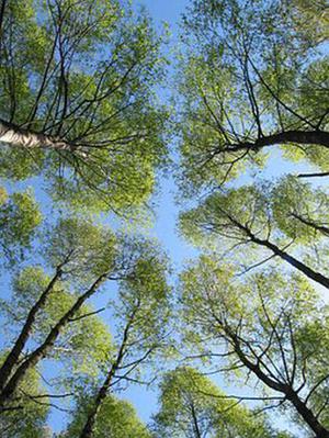 美國機(jī)場安全防范體系的構(gòu)建分析