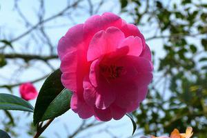 窮學(xué)生，游香港，小感受
