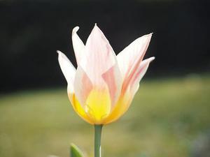 省供銷社進(jìn)一步鞏固深化拓展百日攻堅(jiān)行動成果