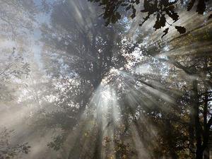 鐵路首改分配機(jī)制10月貨運(yùn)增幅驚人