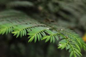 盤點長沙有哪些熱門創(chuàng)業(yè)基地？