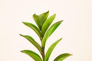 王健專覽銀發(fā)人確保快樂(lè)方法