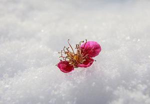 將于年春節(jié)前分批次遷入兩處安置區(qū)