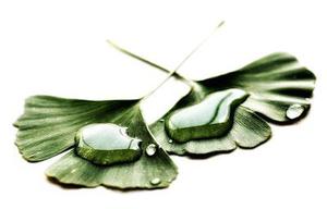 把肖戰(zhàn)放在首位，不跟風意見領(lǐng)袖，尊重原創(chuàng)，肖戰(zhàn)粉絲這次能做到