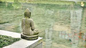 把肖戰(zhàn)放在首位，不跟風(fēng)意見領(lǐng)袖，尊重原創(chuàng)，肖戰(zhàn)粉絲這次能做到