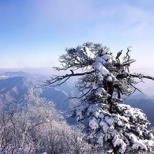 基于Linux的防火墻日志數(shù)據(jù)庫化