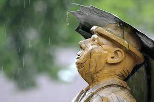 【影像隨筆】貓鏡子
