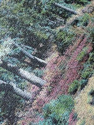 VICOTE涂料幫助聯(lián)合餅干公司節(jié)約成本并大幅縮短故障停工時(shí)間