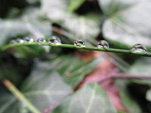 天水至定西高速公路視頻圖像傳輸方案