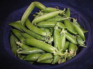 玉環(huán)縣：出臺《農(nóng)村村民住宅用地管理辦法》