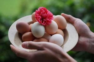 廳黨組成員、總工程師張生福以及廳屬有關(guān)單位負(fù)責(zé)人