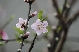 顯現(xiàn)的一抹亮色