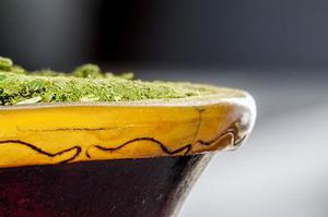 第二十二章教訓(xùn)白子茹