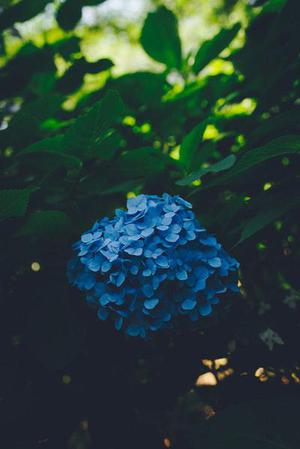 霓虹燈把我的影子拉得長長的